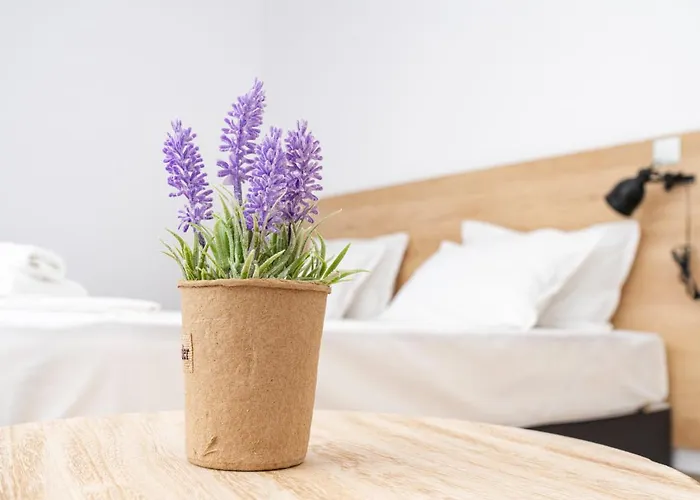 Aparthotel Primorsko Appartement 4*