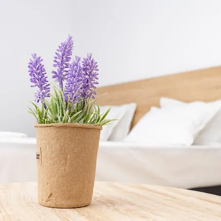 Aparthotel Primorsko Lejlighed 4*