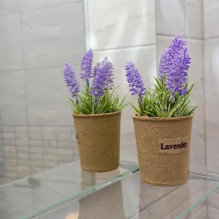 Lejlighed Aparthotel Primorsko 4*