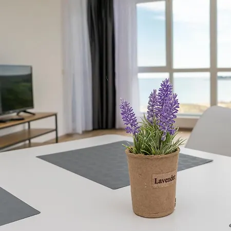 Aparthotel Primorsko Lejlighed Primorsko